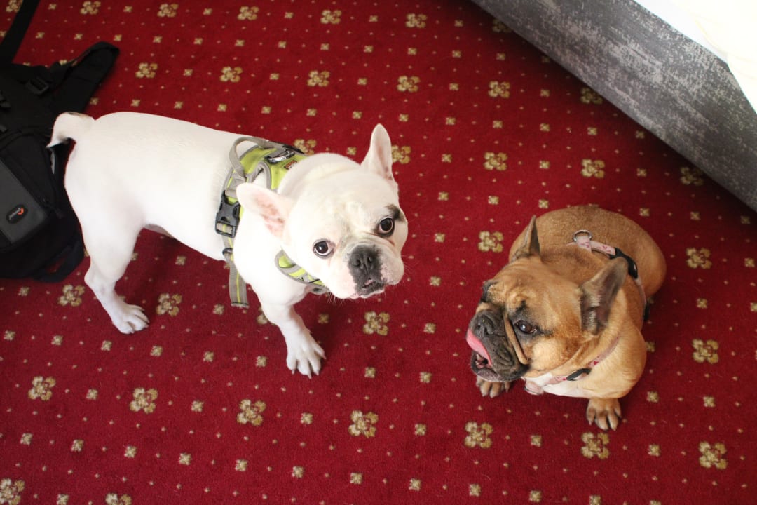 Sonstiges Alpengasthof Grüner