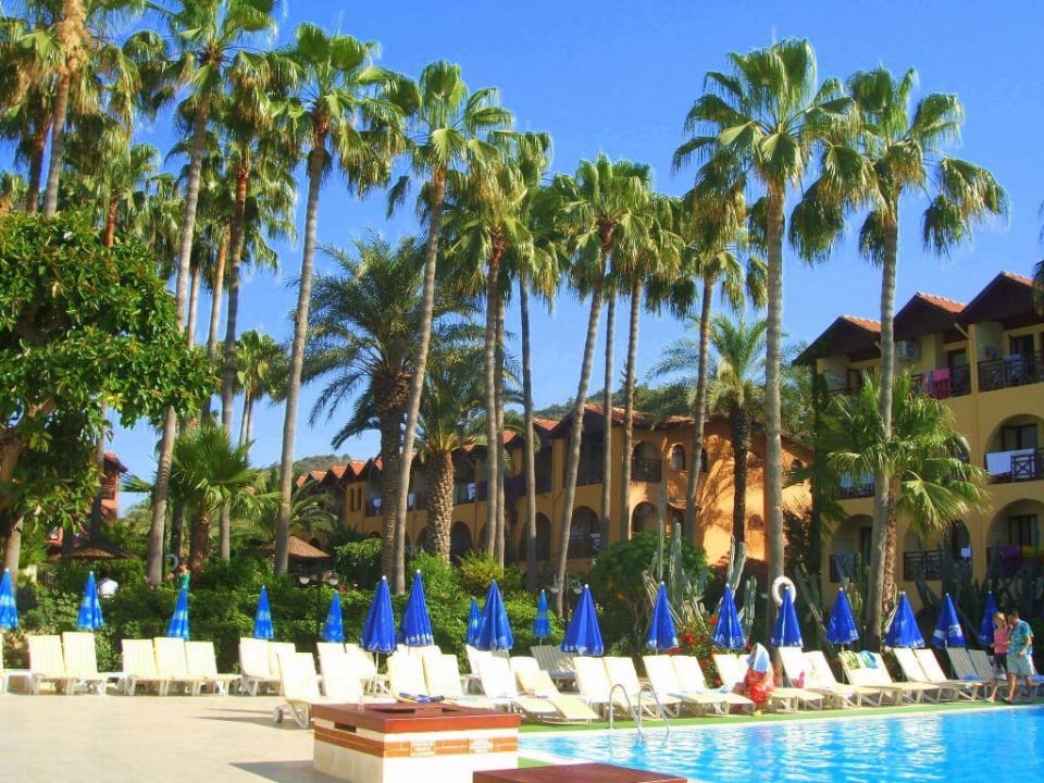 Karibische Poollandschaft Green Paradise Beach Hotel