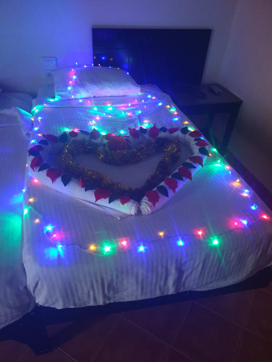 Zimmer Three Corners Sea Beach Resort