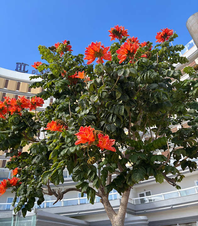 Ausblick Abora Buenaventura by Lopesan Hotels