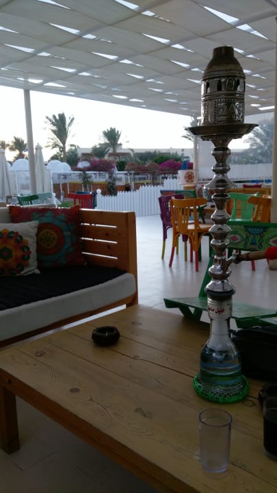 Sonstiges Desert Rose