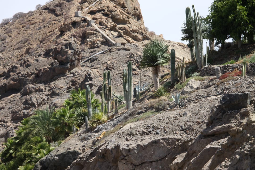 Ausblick Hotel Riviera Vista