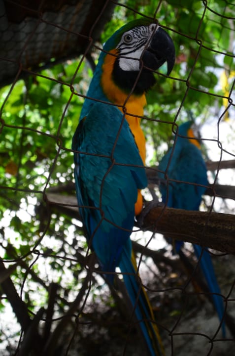 Gartenanlage Thulhagiri Island Resort