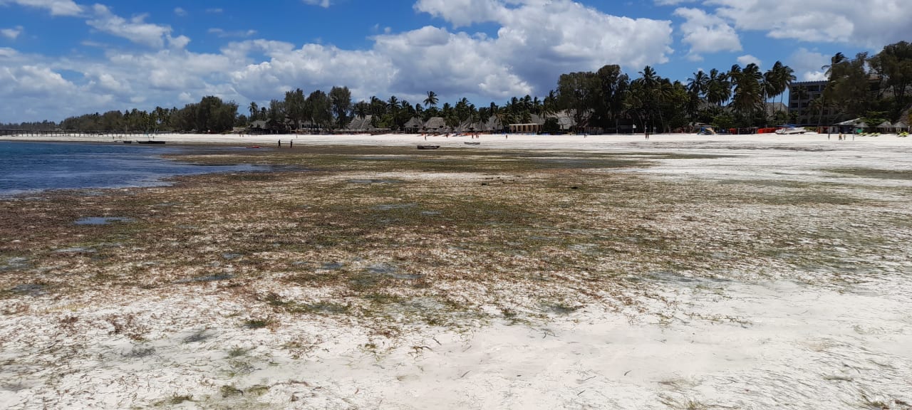 Strand Hotel Kiwengwa Beach Resort