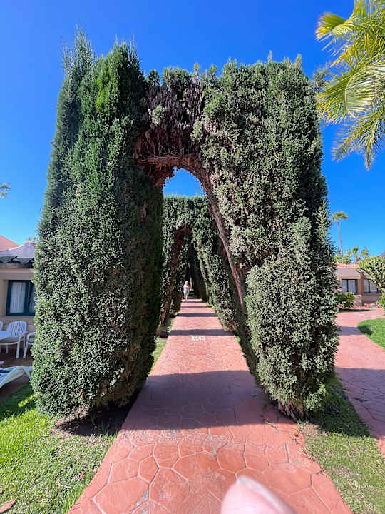 Gartenanlage allsun Hotel Esplendido