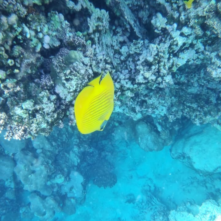 Sport & Freizeit Hotel Gorgonia Beach Resort