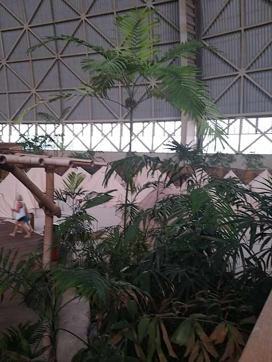 Gartenanlage Tropical Islands Resort