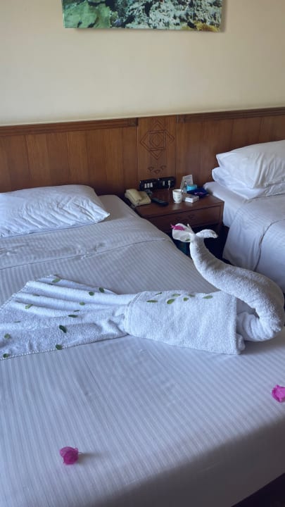 Zimmer Three Corners Equinox Beach Resort