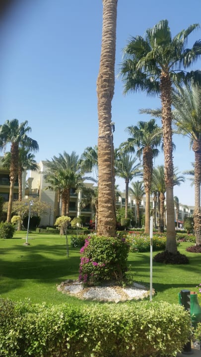 Gartenanlage ein Traum  Swiss Inn Resort Hurghada