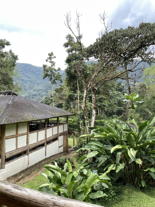 Gartenanlage Buhoma Lodge