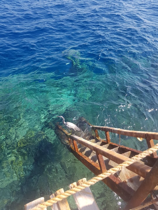 Strand Bliss Nada Beach Resort