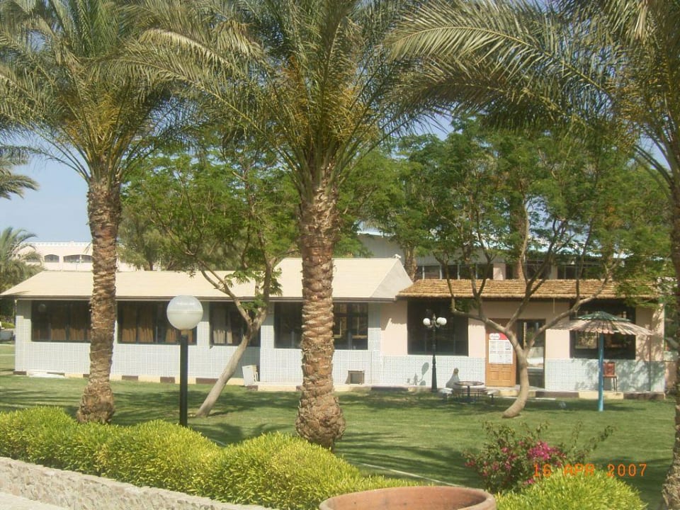 Miniclub Beach Albatros Resort