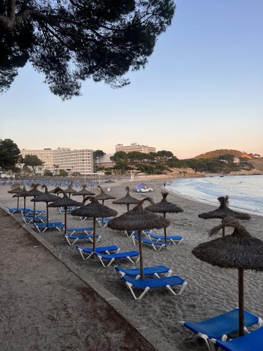 Strand Hotel Morlans Suites