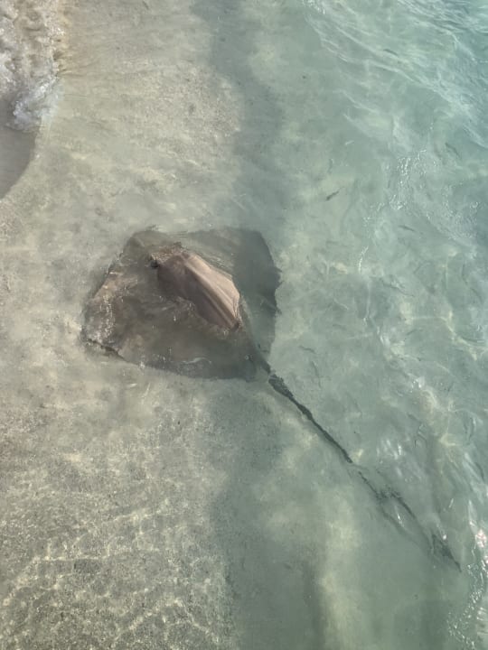 Sonstiges Sun Siyam Vilu Reef