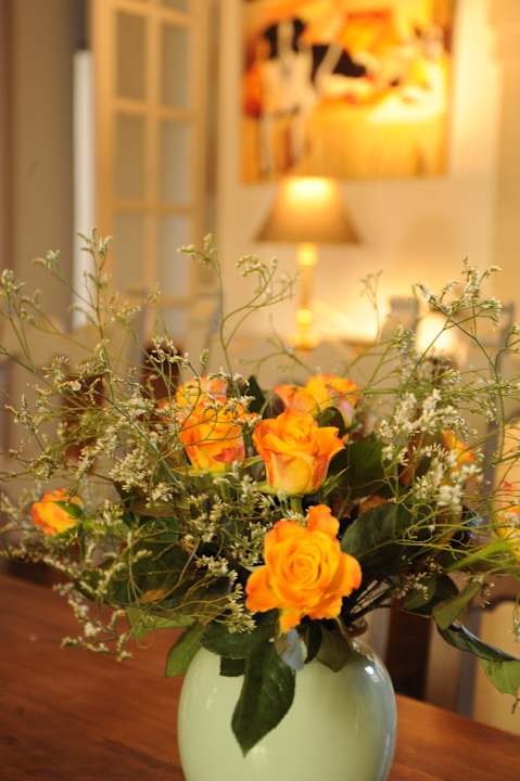 Sonstiges le Jardin de Mazan