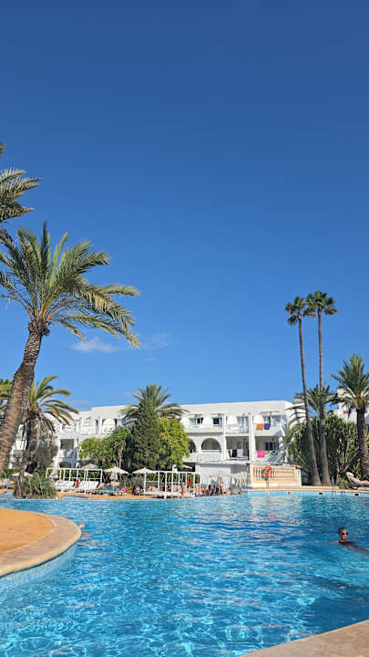 Pool Calimera Fido Gardens