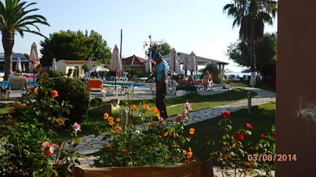 Gartenanlage mit Pool Hotel Albatros