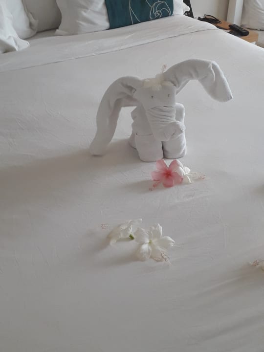 Zimmer Radisson Blu Poste Lafayette Resort & Spa - Adults only