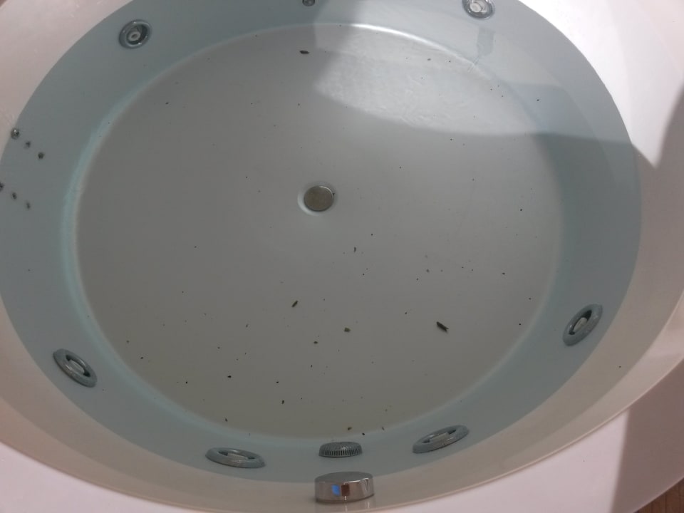 Pool nicht repariert  Grand Palladium Select Bávaro Resort & Spa