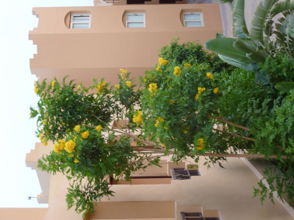 Blümchen Stella Beach Resort & Spa Makadi Bay