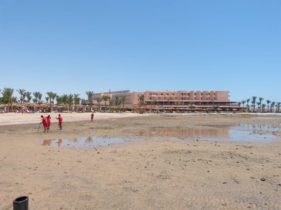 Strand bei Ebbe Pickalbatros Palace Resort