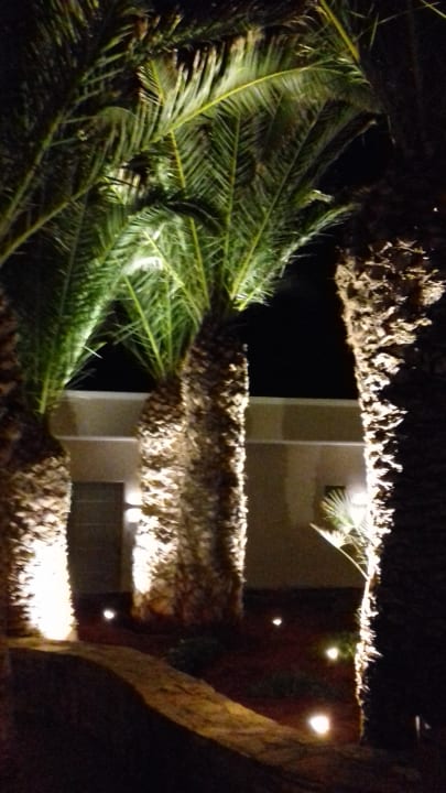 Gartenanlage Nana Golden Beach