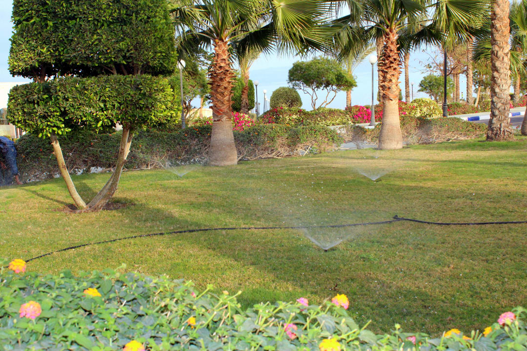 Это перед въездом в отель Hurghada Long Beach Resort