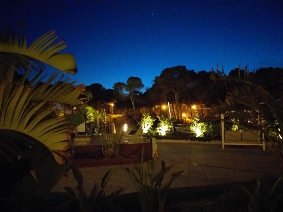 Gartenanlage Iberostar Selection Playa de Palma