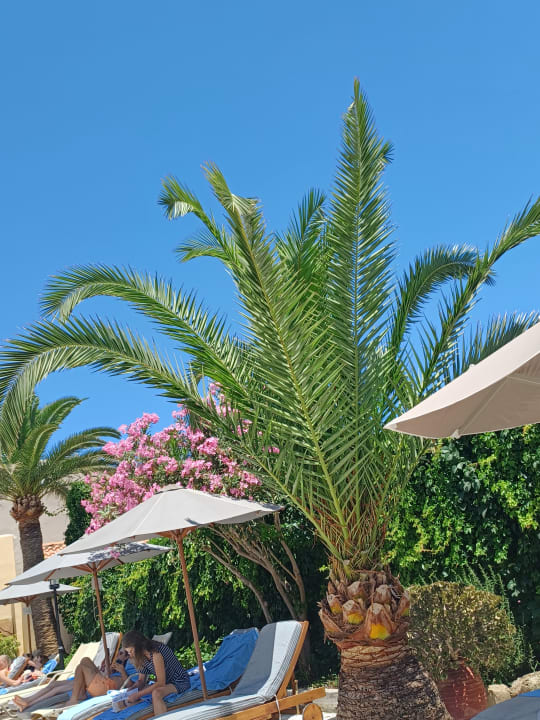 Sonstiges Hotel Atlantis Beach