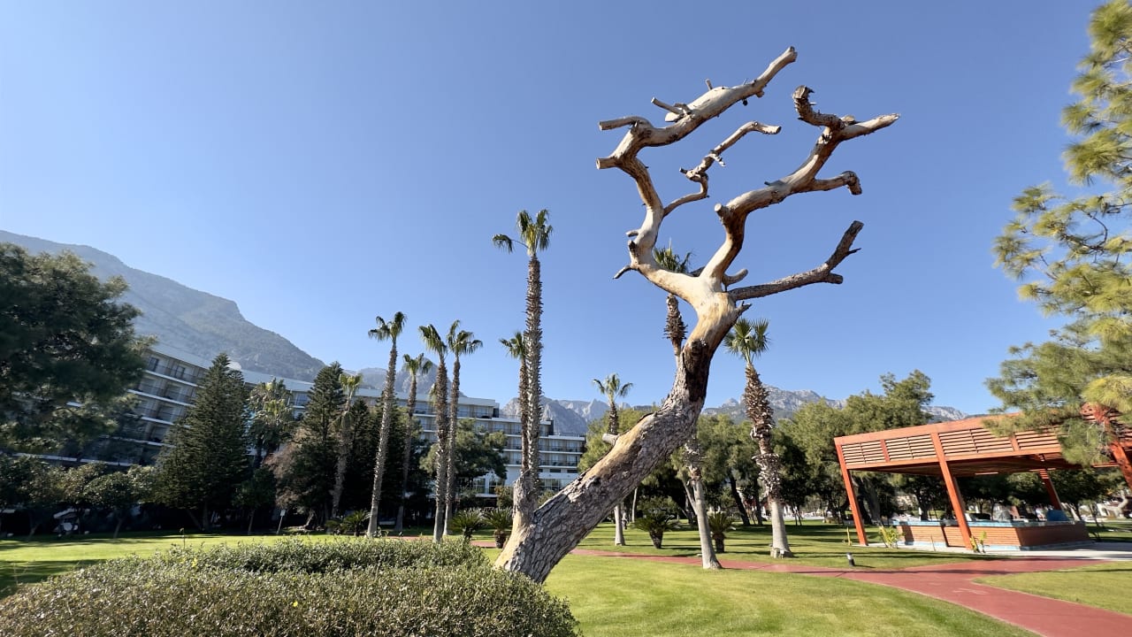 Gartenanlage TUI MAGIC LIFE Beldibi +16