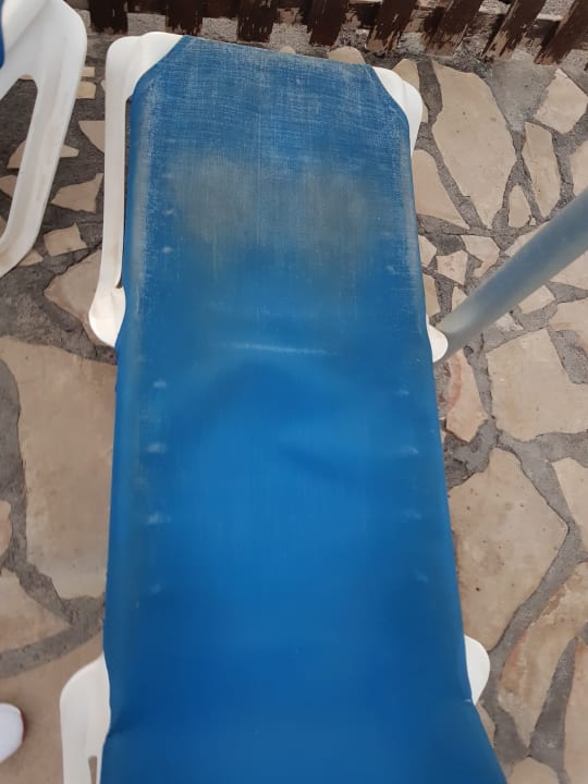 Pool Melia La Palma Hotel