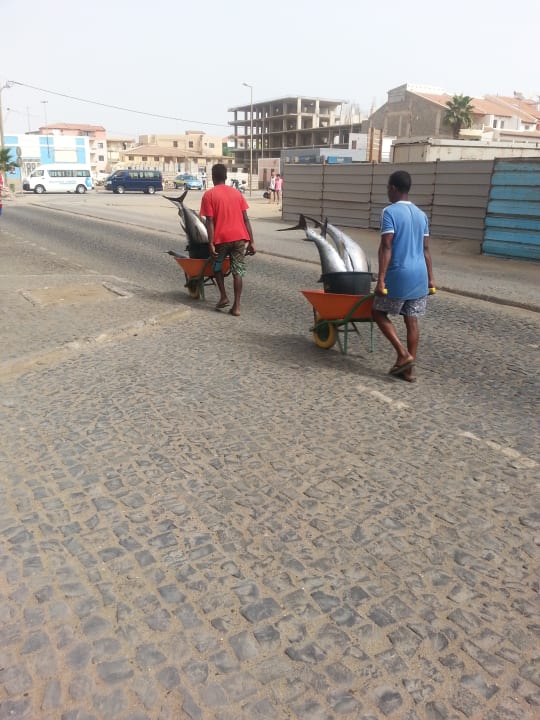 Sonstiges Oasis Salinas Sea