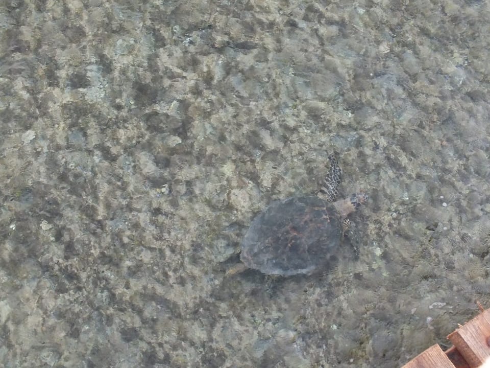 Strand Casa Mare Resort