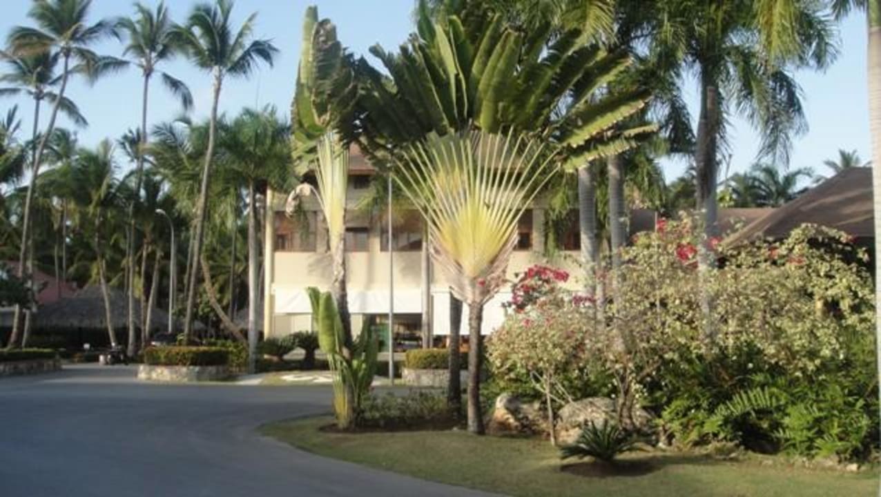 Palladium Resort TRS Turquesa Hotel - Adults only