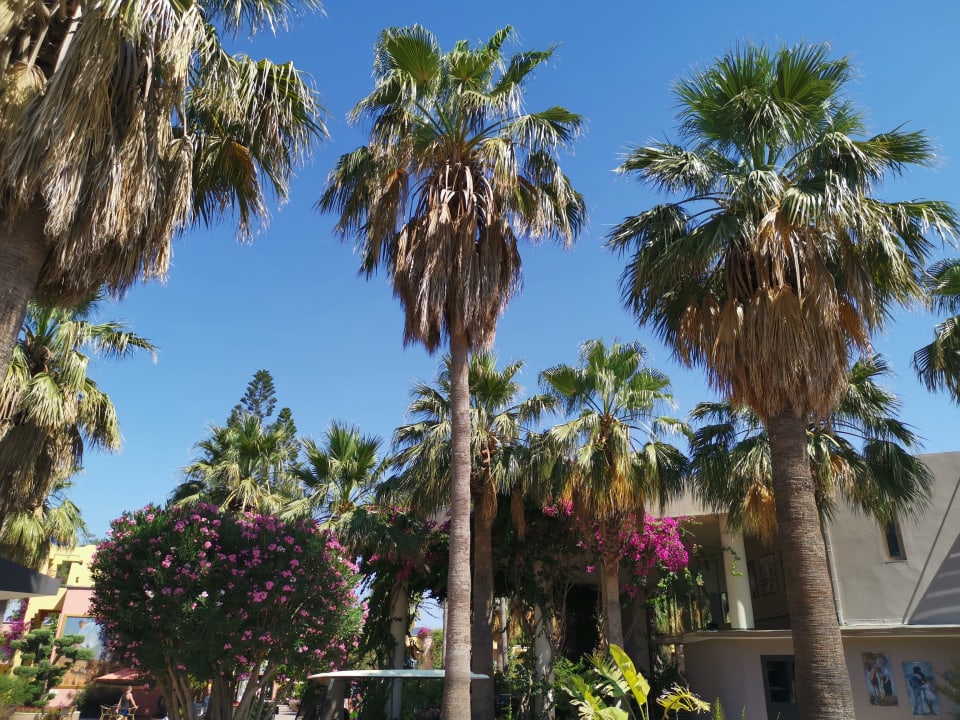 Gartenanlage VONRESORT Golden Beach