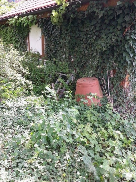 Mühl und Schrott im Aussenbereich Best Western Parkhotel Brehna - Halle