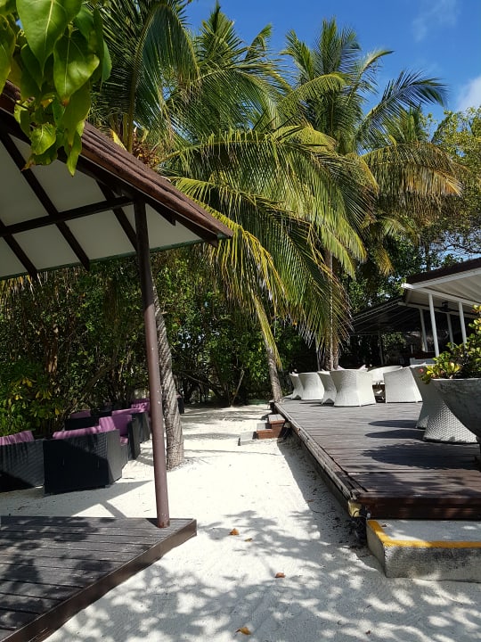 Gastro Ellaidhoo Maldives by Cinnamon