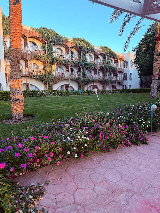 Außenansicht Desert Rose