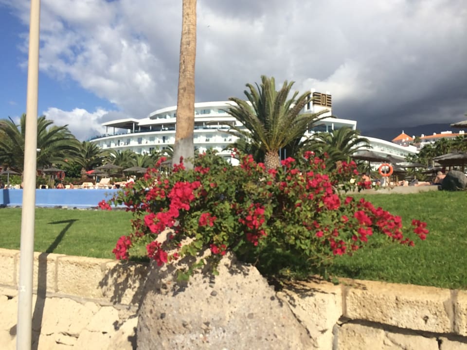 Außenansicht Hotel Riu Palace Tenerife