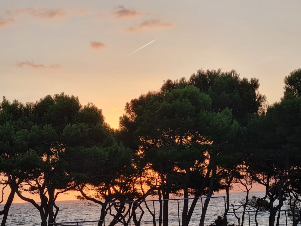 Ausblick Iberostar Waves Playa de Muro