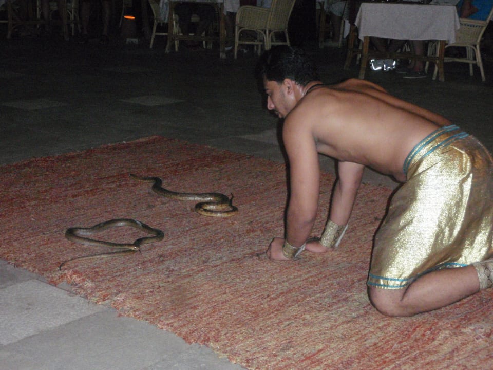 Orientalischer Abend Ghazala Gardens