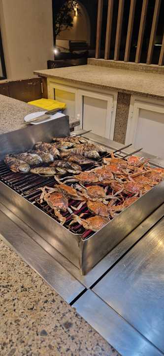 Gastro JAZ Elite Casa del Mar Beach