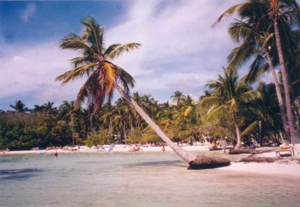 Punta Cana Beach Resort Hotel Puntacana Resort & Club