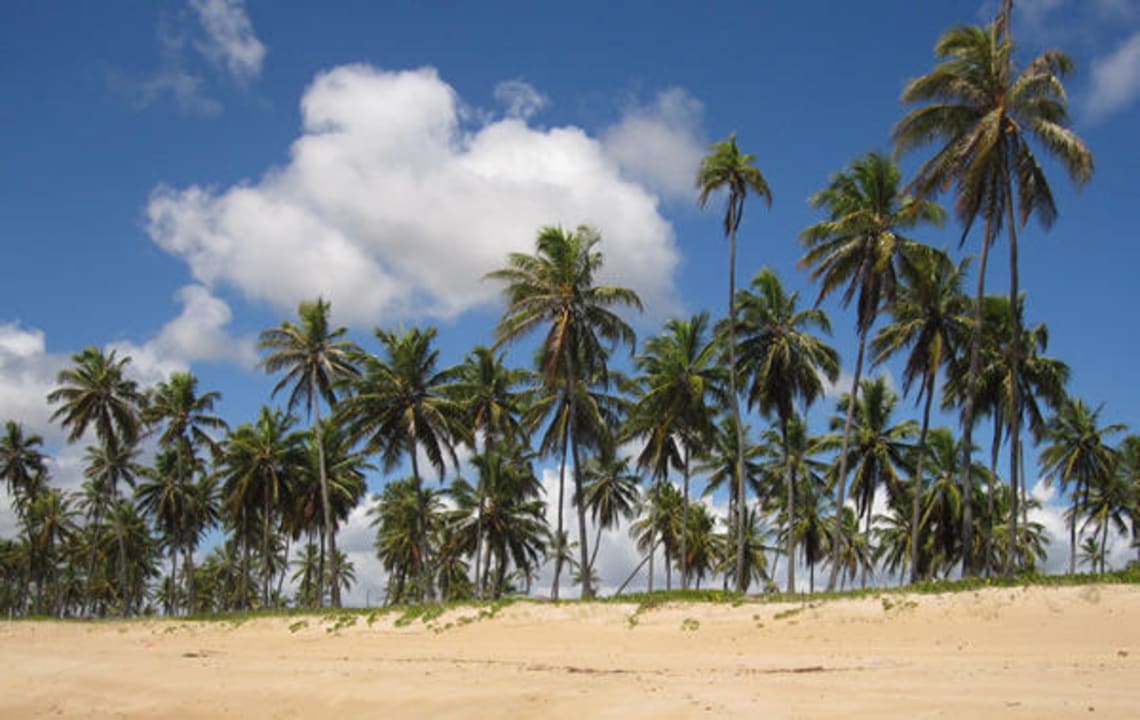 Strandpartie Hotel Porto Zarpa
