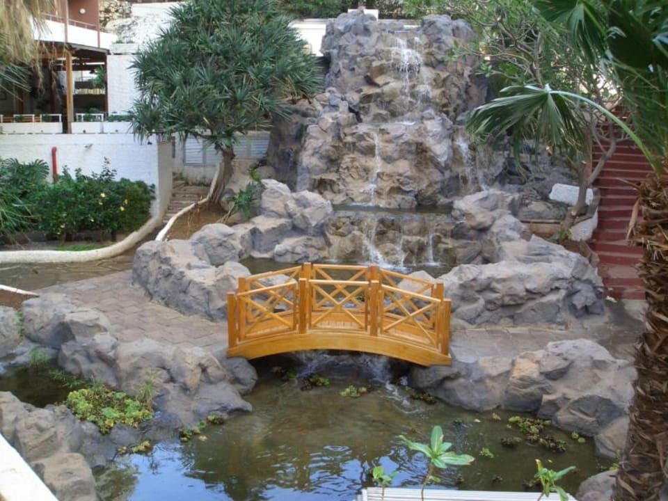 Garten Hotel Catalonia Punta del Rey