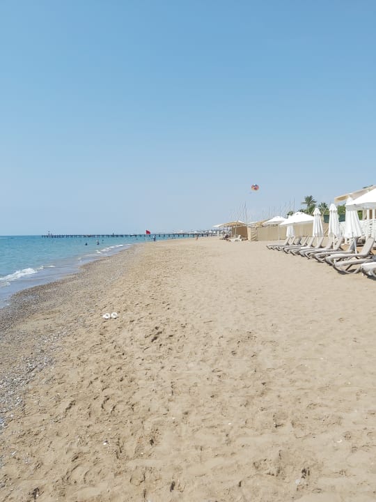 Strand Papillon Belvil