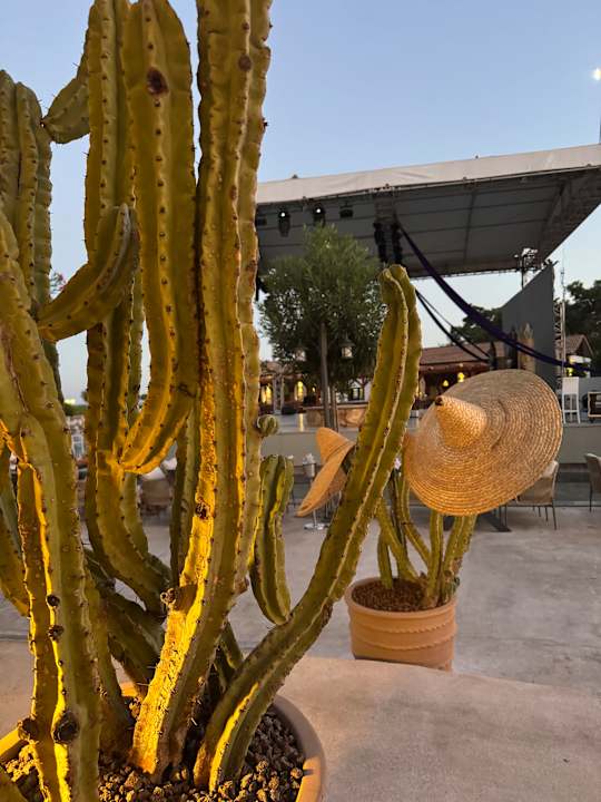 Gastro Rixos Premium Tekirova