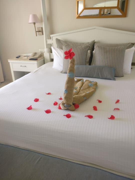 Zimmer Wyndham Alltra Punta Cana