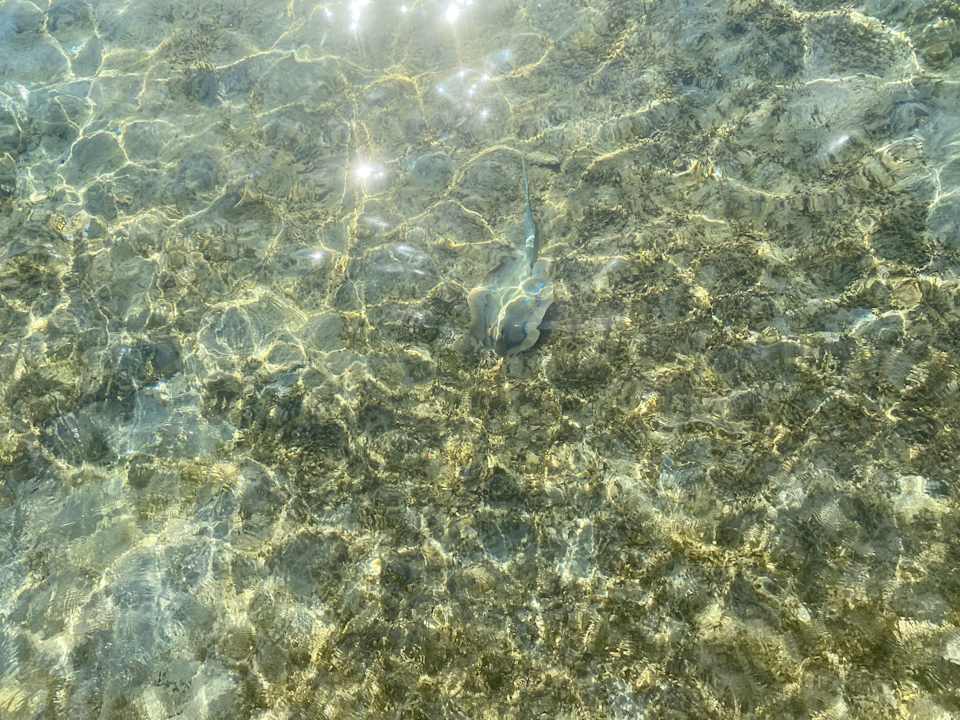 Strand Stella Beach Resort & Spa Makadi Bay