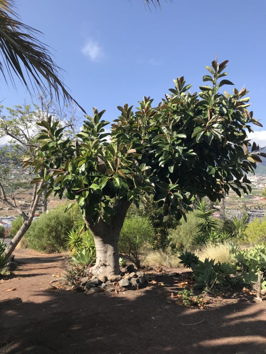 Ausblick Hotel Las Aguilas, Affiliated by Meliá